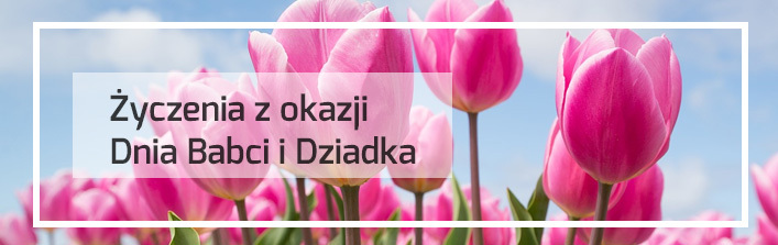 Zyczenia baner dz b