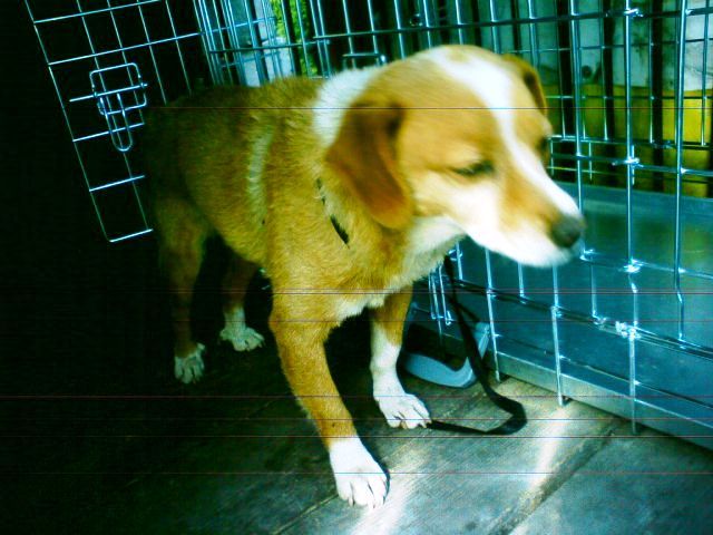Dsc01184