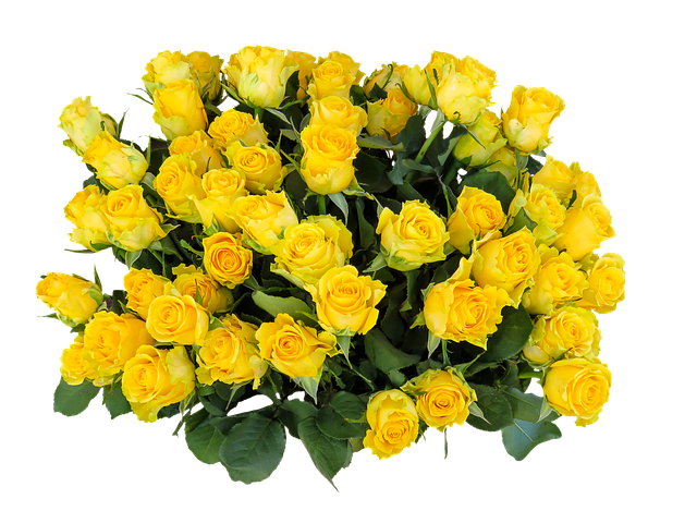 Emotions 1817499 640 pixabay