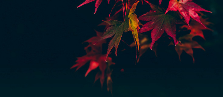 Www.ilawa.pl listopad baner