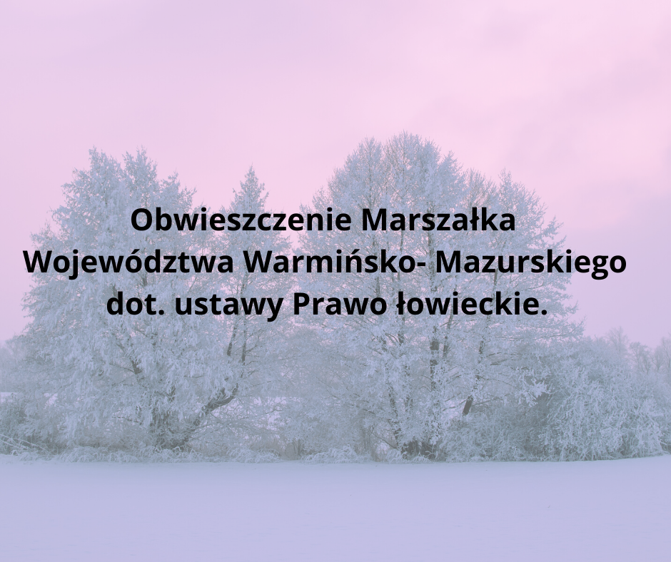 Konsultacje spo%c5%81eczne strategii rozwoju obszaru kana%c5%82u elbl%c4%85skiego na lata 2021 2030 1