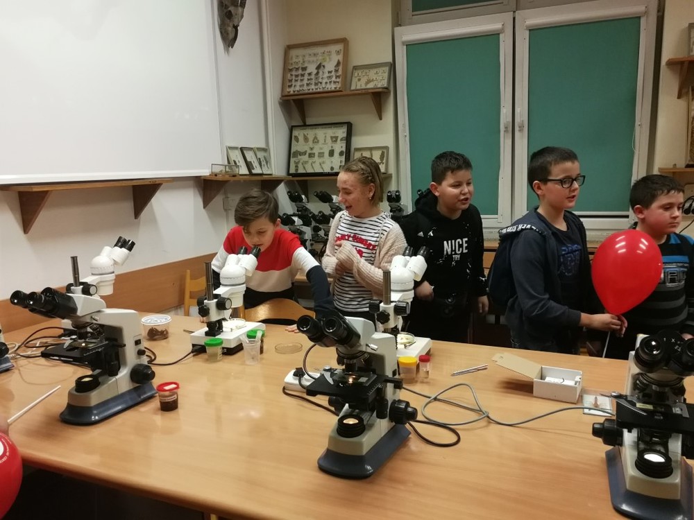 Img 20200110 191614
