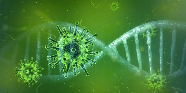 Coronavirus 4833754 640