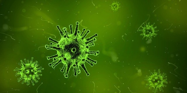 Virus pixabay