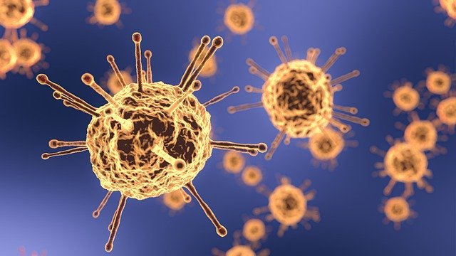 Coronavirus 4942077 640