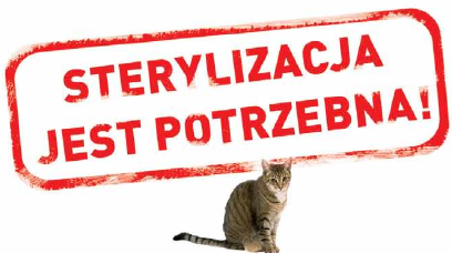 Sterylizacja
