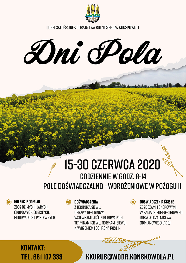 Dni pola plakat www
