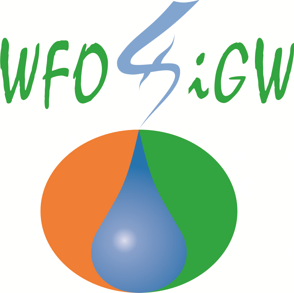 Logo%28bez t%c5%82a%29