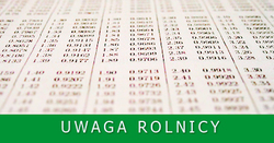 Open uri20200715 8636 bw7q0k?1594800015