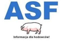 Data?1597918507