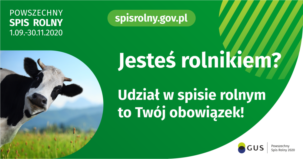 Obowi%c4%85zek spisowy   grafika na stron%c4%99 internetow%c4%85
