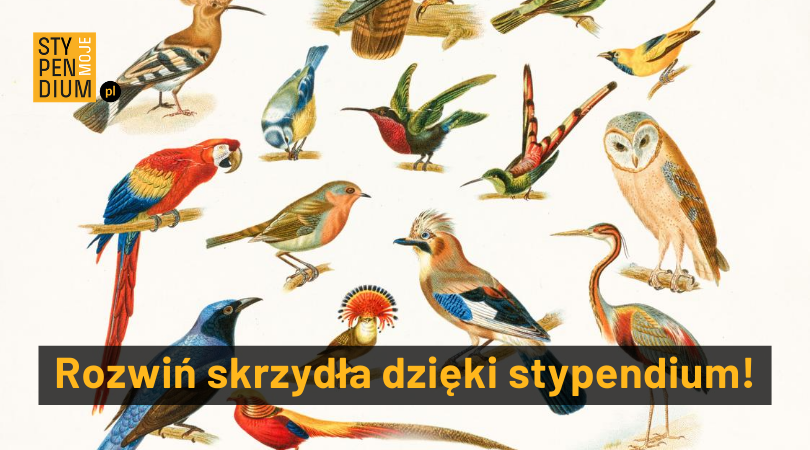 Mojestypendium baner 2020