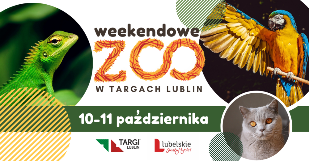 Weekzoo wydarzenie na fb