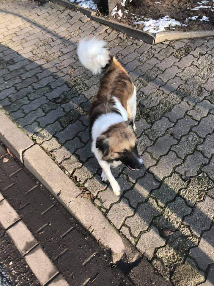Fb img 1610380071716