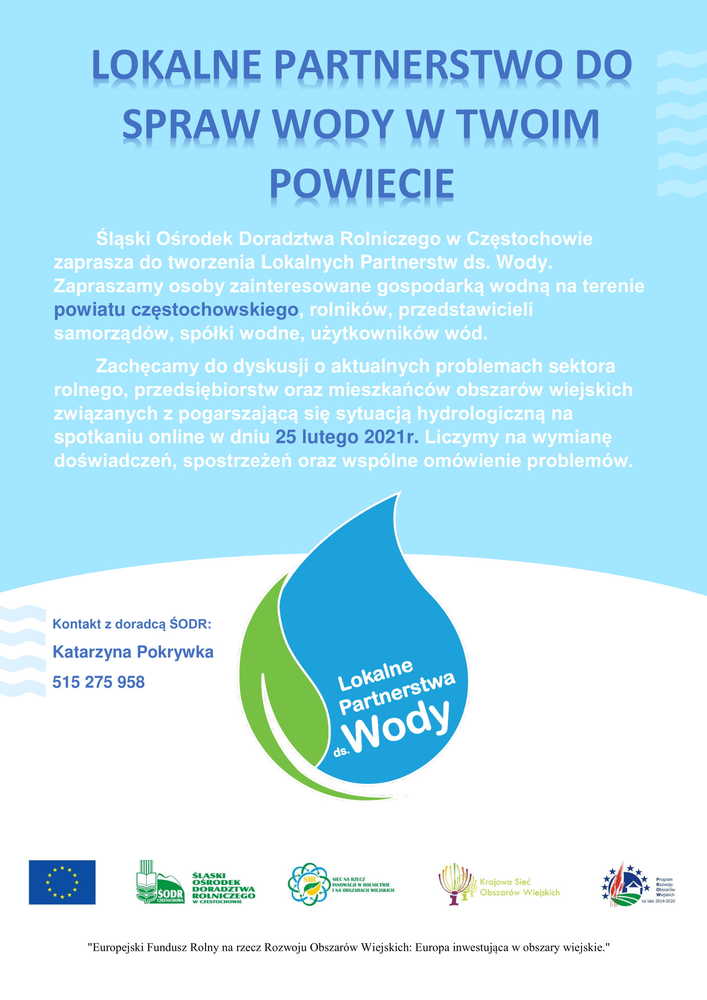 Lokalne partnerstwo