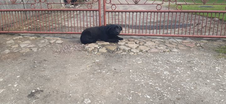 Open uri20210422 1269 1jx5c4y?1619088606