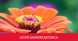 Open uri20210527 1269 f0hsam?1622096109