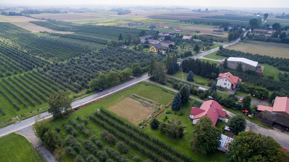 Dron   dziuch%c3%b3w 3