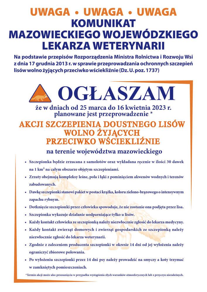 Plakat lisy 2023
