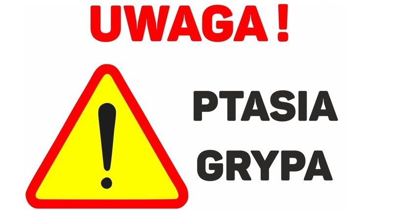 P big 39455 1