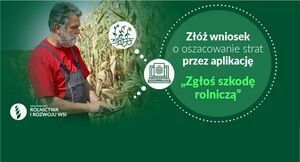 Open uri20230731 1303 gruyhv?1690793133