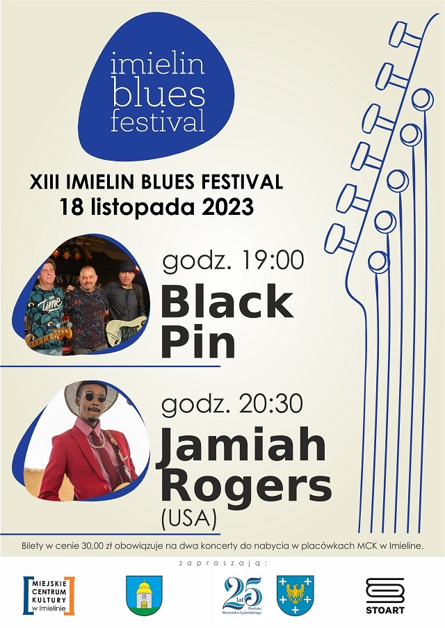 Xiii blues festival gruby small