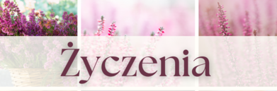Open uri20231121 6579 1nv4kte?1700557560