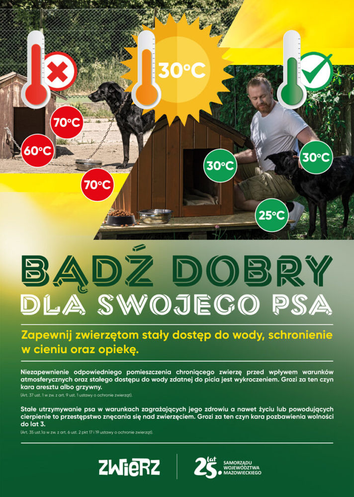 Zwierz akcja lato mazowsze 2024 plakat a3 podglad 729x1024