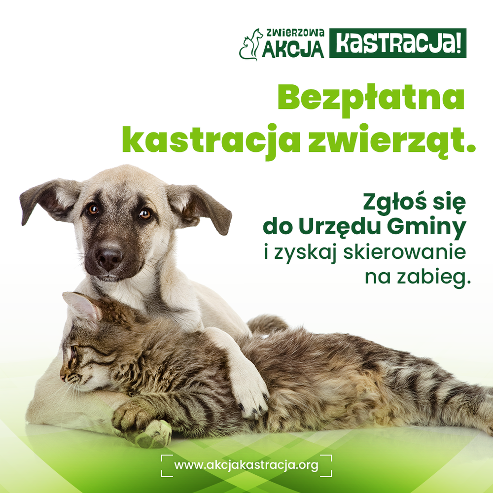 Ak 2025 bezplatna kastracja 1080x1080
