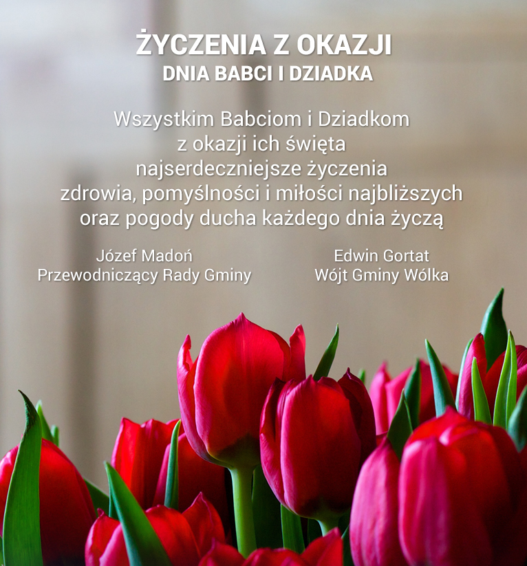dzien_babci_big.jpg