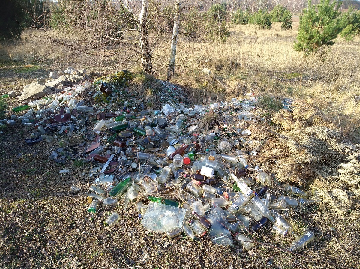 005_małe.jpg