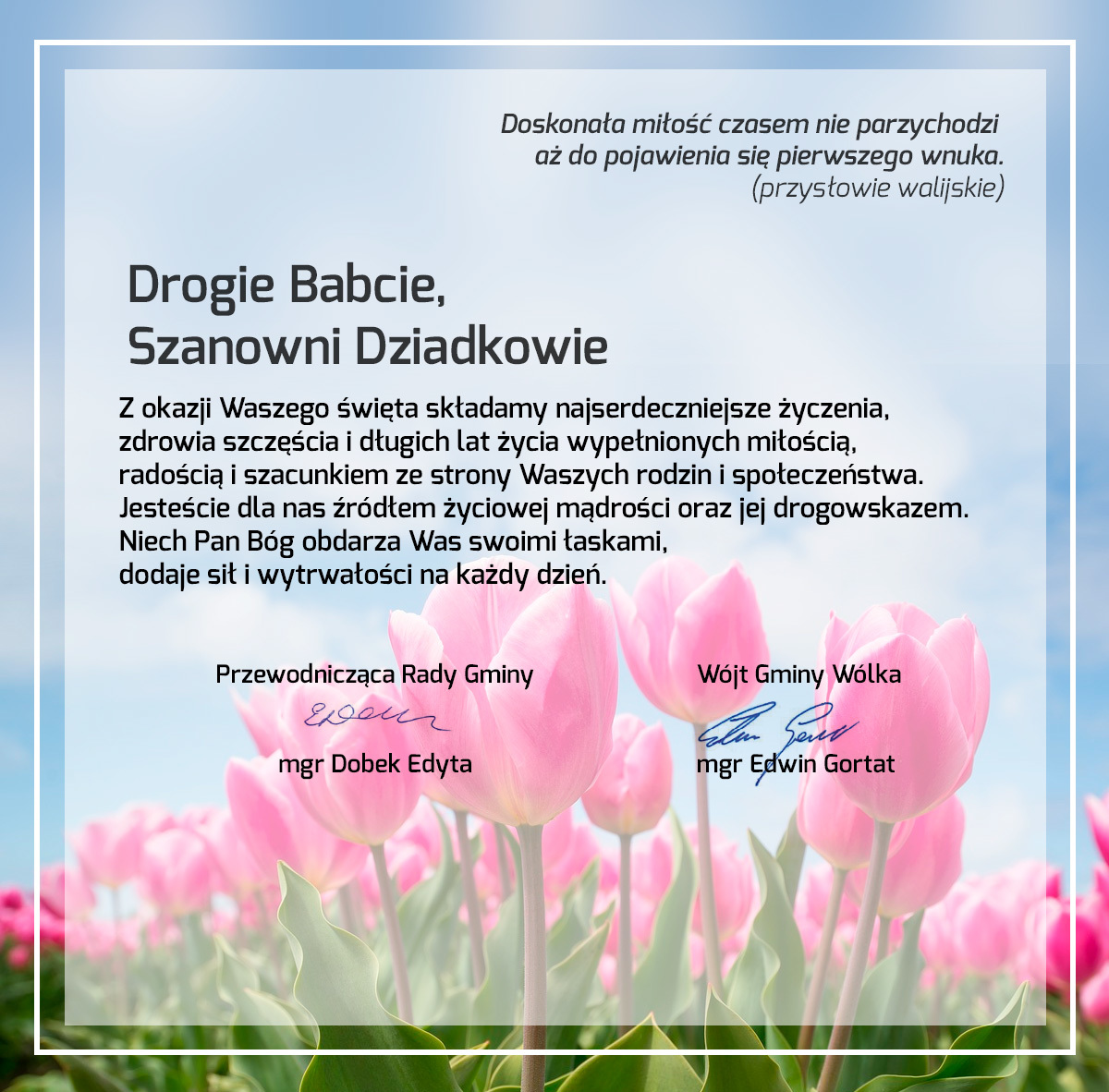 dzien-dz-b.jpg