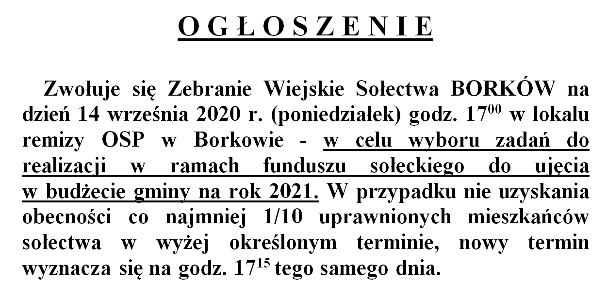 Zebranie_Wiejskie_Borków_2020_fundusz_sołecki.jpg